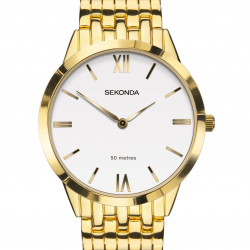 Mens Sekonda Watch 1610