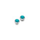 Sea Gems Silver Turquoise Studs 3775TQ