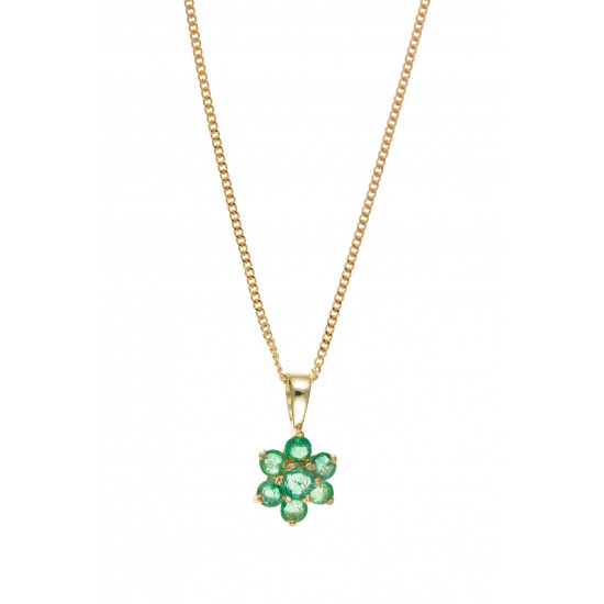 9ct Gold Emerald Pendant and chain AT0042