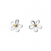 Sea Gems Silver Daisy Stud Earrings P1455