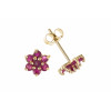 9ct Gold Ruby Studs AP8147