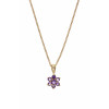 9ct Amethyst Pendant and Chain AT0041