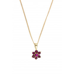 9ct Gold Ruby Pendant and Chain AT0044