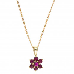 9ct Gold Ruby Pendant and Chain AT0044