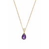 9ct Amethyst Pendant and Chain AT0940