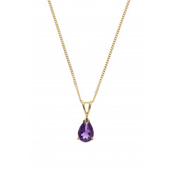 9ct Amethyst Pendant and Chain AT0940