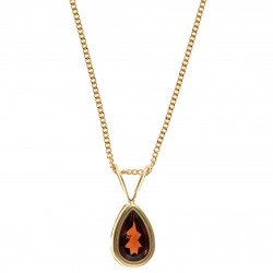 9ct Gold Garnet Pendant and Chain AT3980