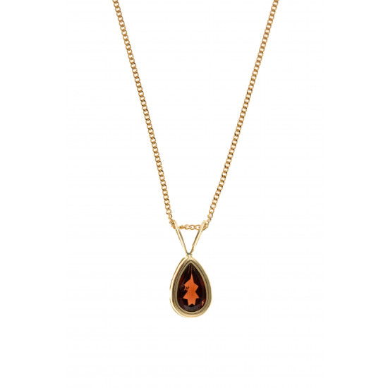 9ct Gold Garnet Pendant and Chain AT3980