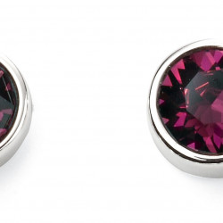 Birthstone Silver Studs Febuary E5560