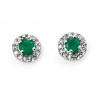 9ct W/G Emerald and Diamond Stud Earrings GE888G