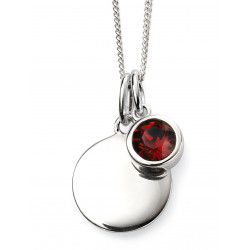 Birthstone Silver Pendant January P4590