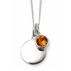 Birthstone Silver Pendant November P4600