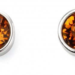 Birthstone Silver Studs November E5568