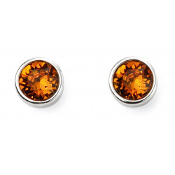 Birthstone Silver Studs November E5568